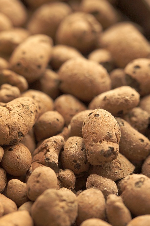 expanded pebbles used in hydroponics