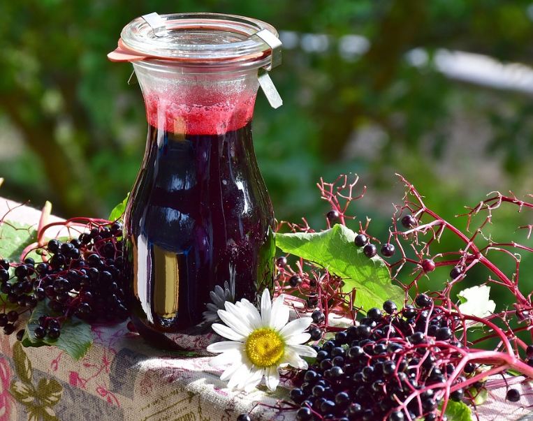 a jar of elderberry juice, elderberries, branch, leaves, flower