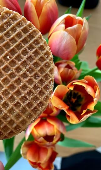 Waffled Cookies