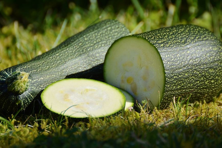 Zucchini, Pasta, Vegetable